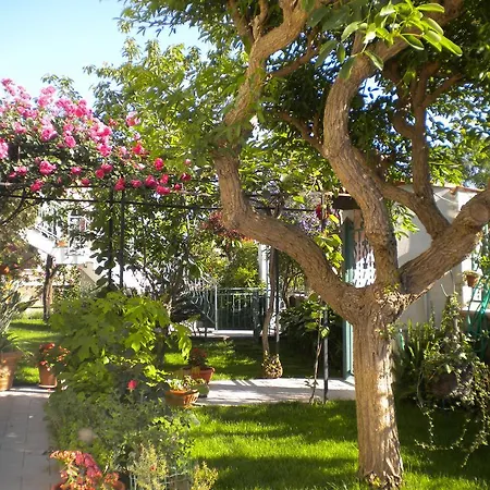Cornelia Bed & Breakfast Villa San Pietro