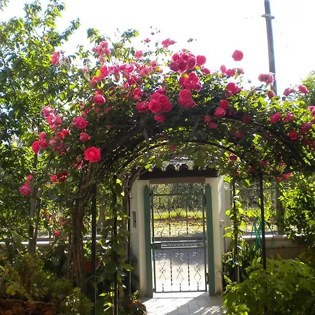 Cornelia Bed & Breakfast *